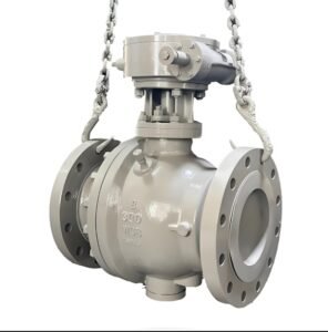 Ingersoll Rand SLT04078 Valve label and product shot