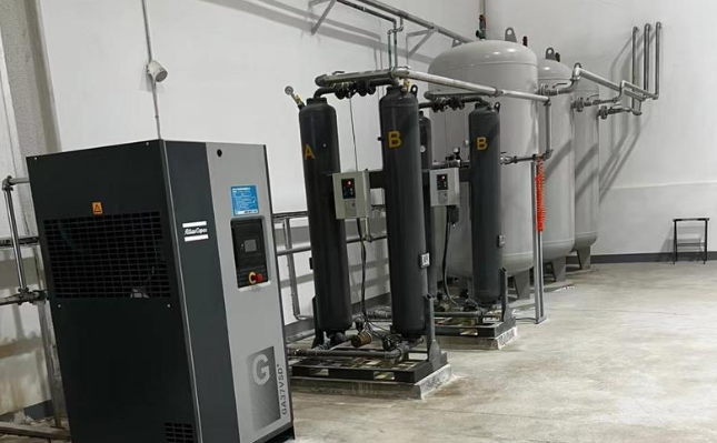 Compressor filter system